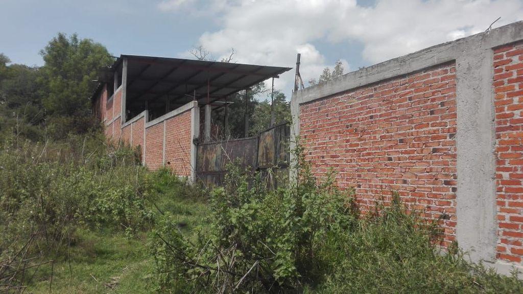 Terreno en Venta en Noxtongo