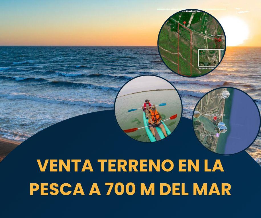 Terreno en Venta en Magote Palomas