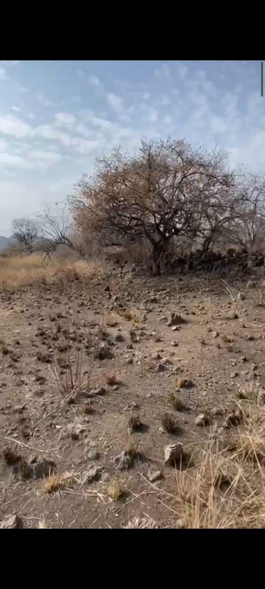 Se vende Terreno en Yautepec