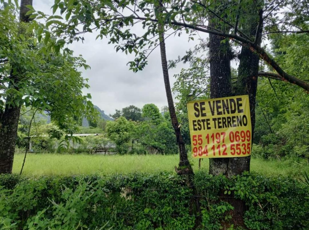 Hermoso terreno en venta en Moyoapan