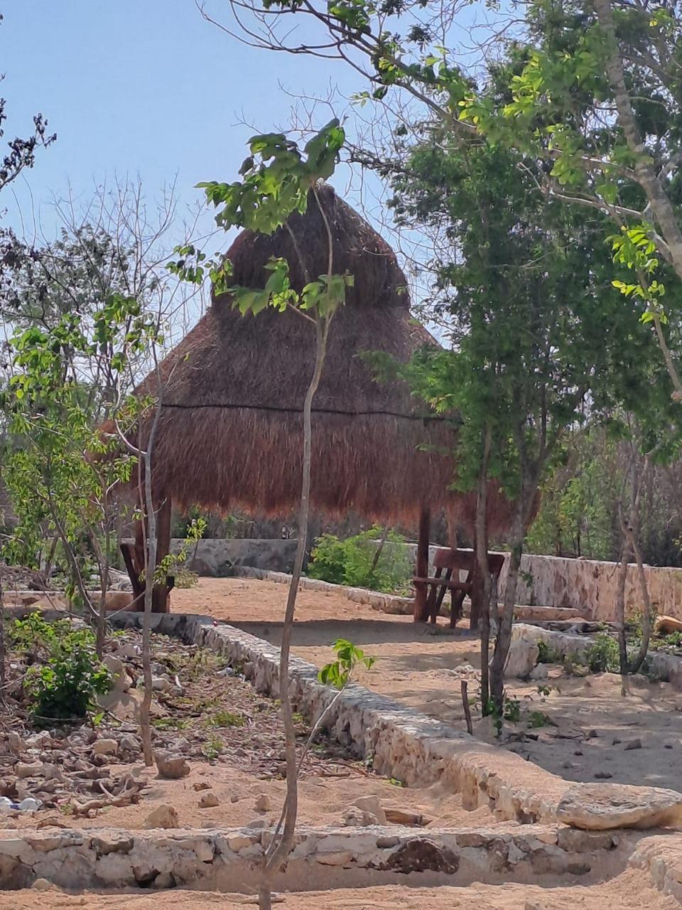 Terrenos Patrimoniales Cerca de Caucel