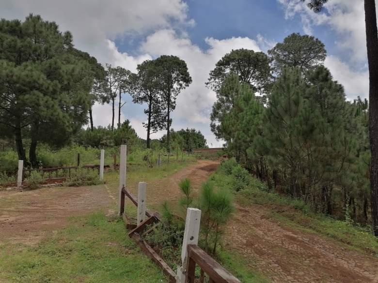 Jalisco, Mazamitla