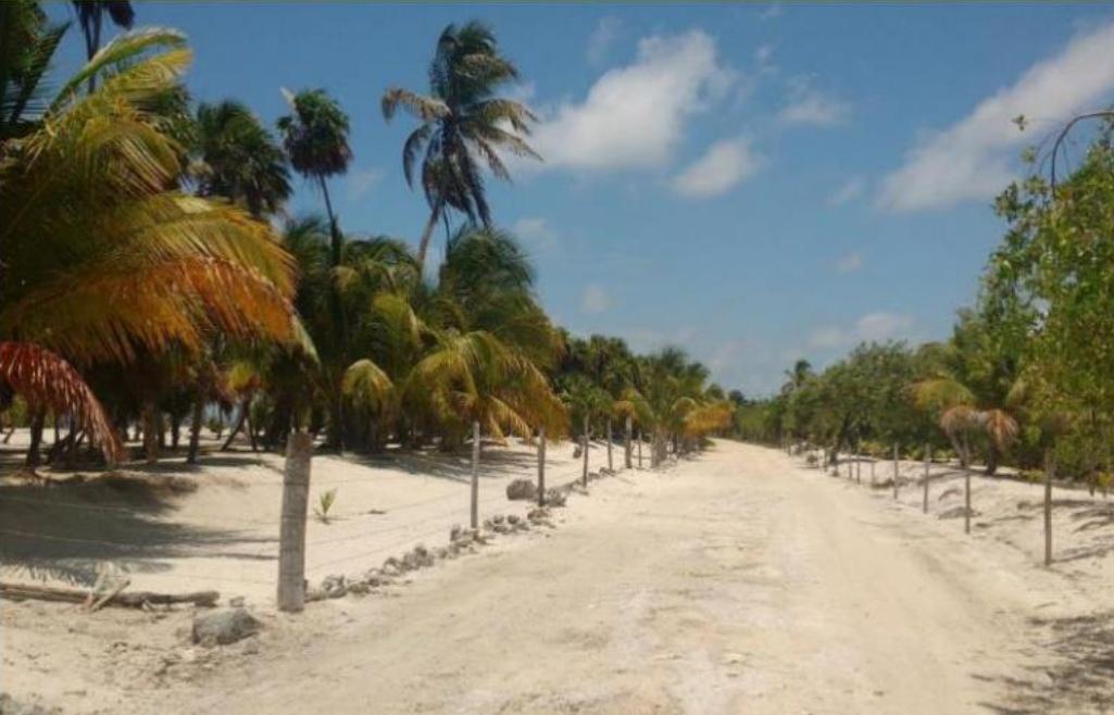 Se vende Terreno en Othón P. Blanco