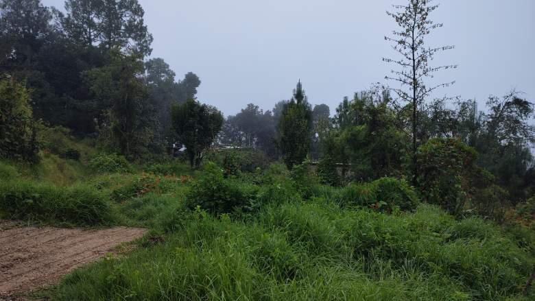 Chiapas, San Cristóbal de las Casas