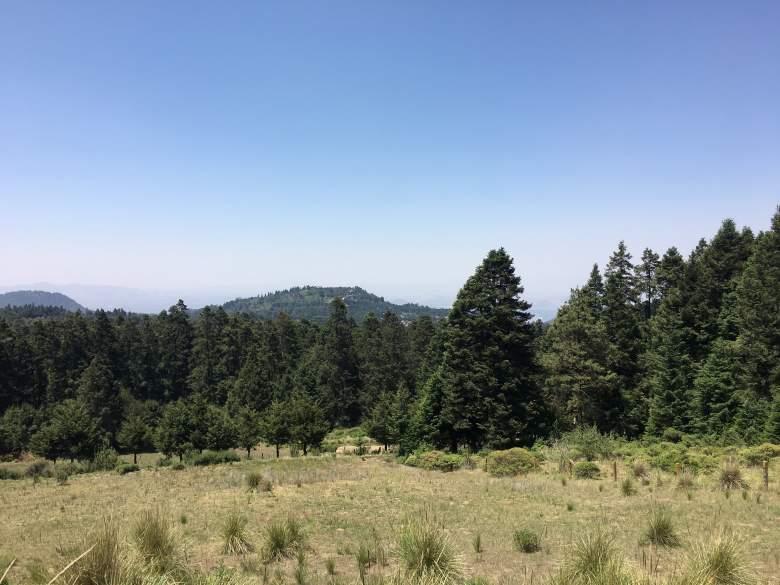 terrenos en excelente zona  