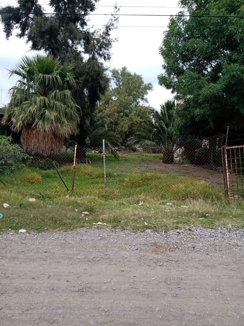 Edo. de México, Atenco