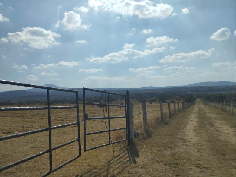 Hidalgo, Nopala de Villagrán