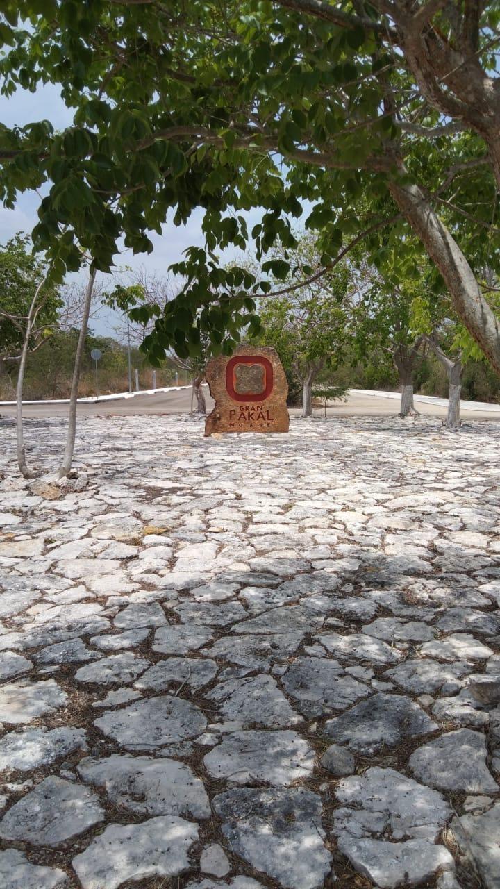 Se vende Terreno en Mérida