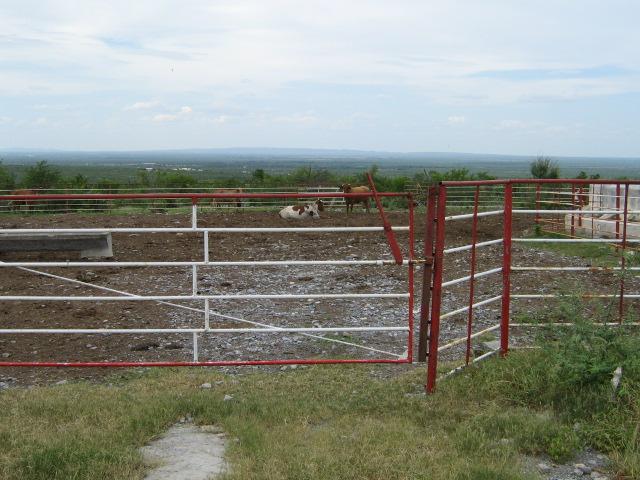 Rancho Venta Ganadero y Casería Sabinas Hidalgo Nuevo Leon.