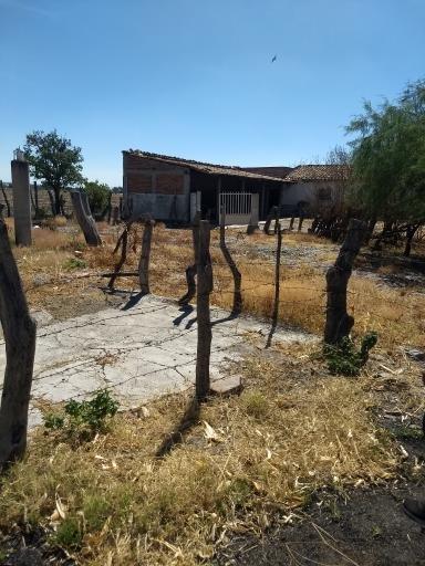Jalisco, Zapotlán del Rey