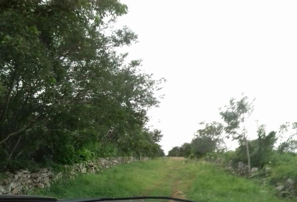Se vende Comercial en Baca