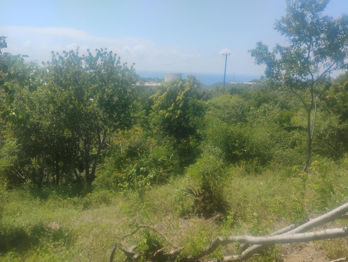 Se vende Terreno en Puerto Angel Oaxaca