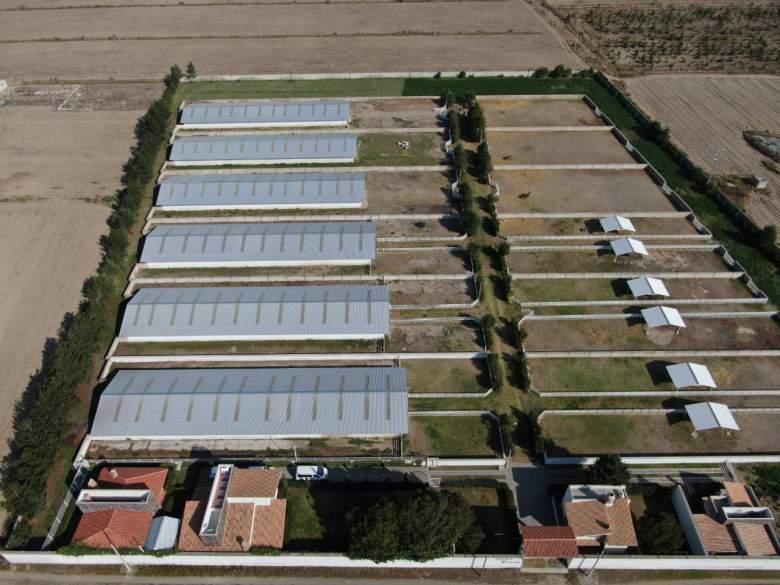 granja en el municipio de perote, ver.