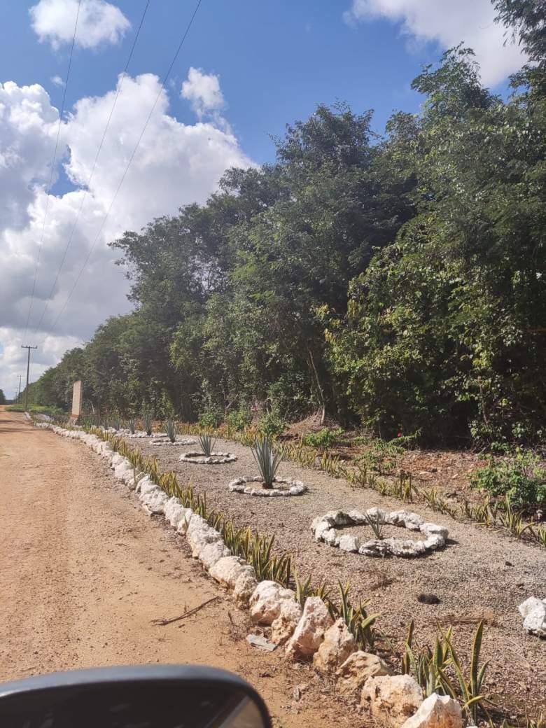 Quintana Roo, Cancún