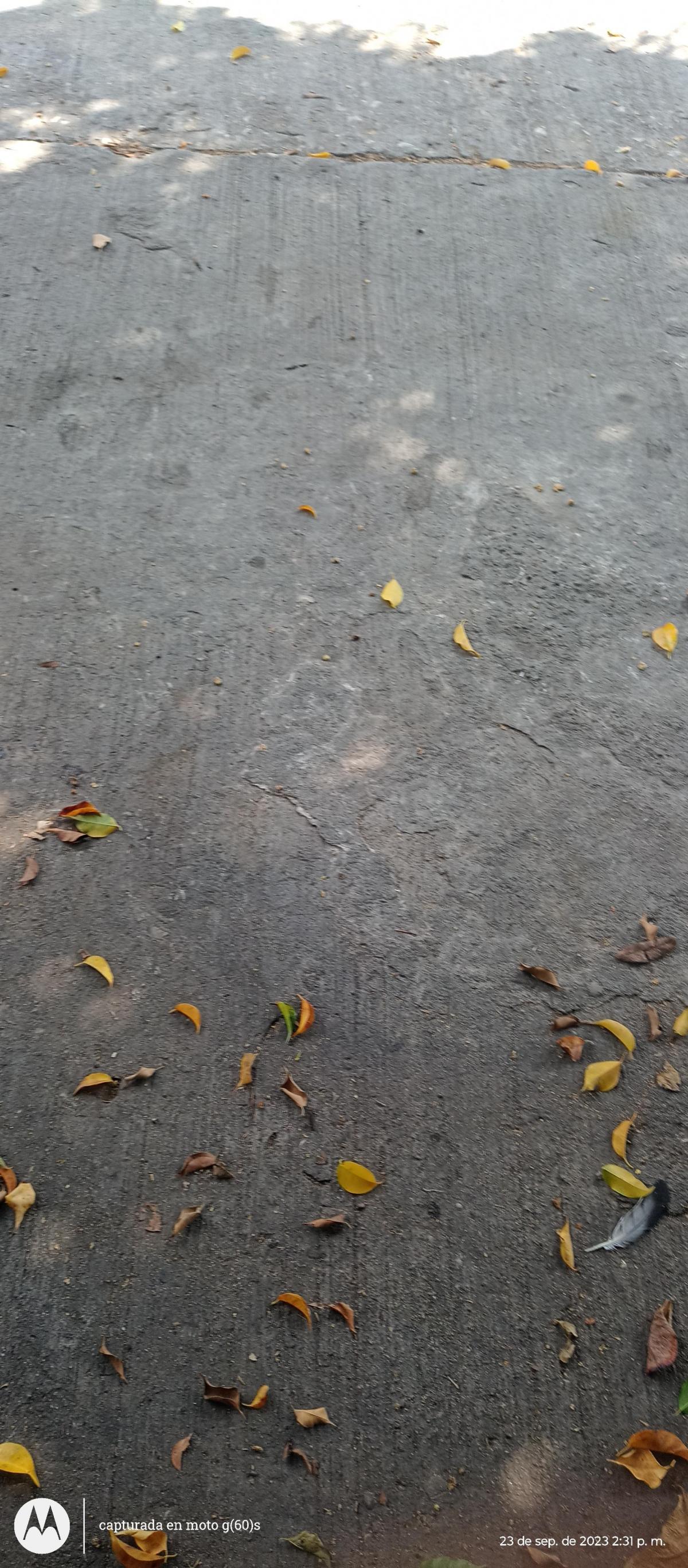 vendo terreno en Tuxtla guts chiapas
