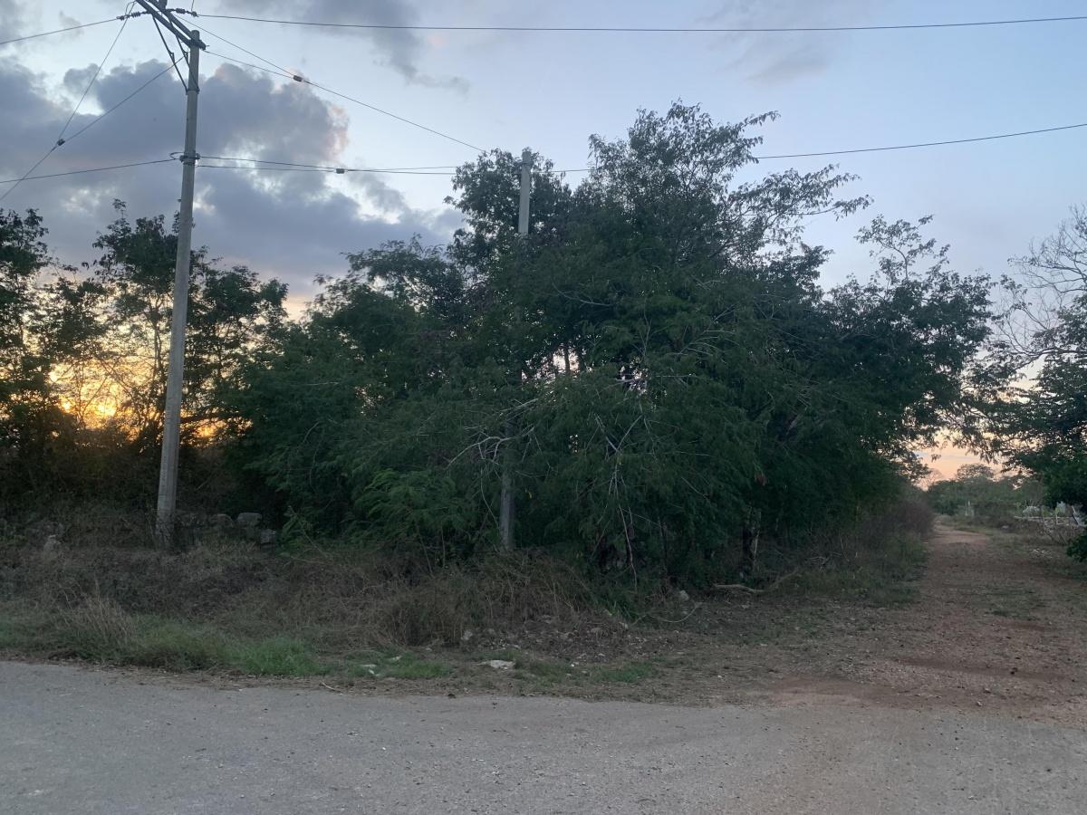 29.5 Hectáreas en Mérida en Esquina Con Servicios