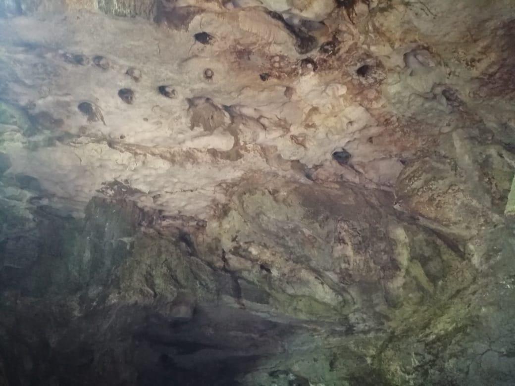 Se vende Terreno en Tizimín