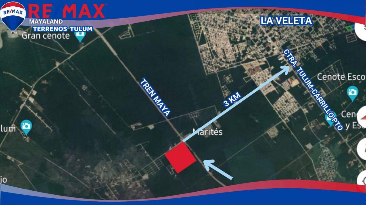 En venta 30 hectareas en region 11 