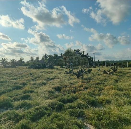 Terreno en Playa Escobilla