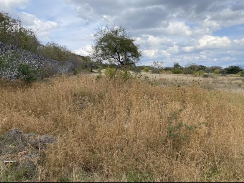 Se vende fabuloso Terreno Habitacional Campestre en Atlixco