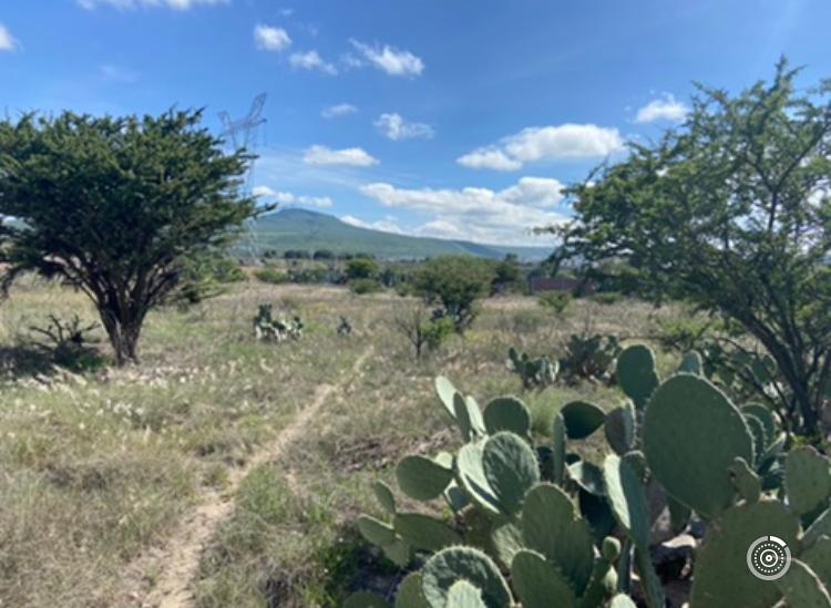 Terreno en venta corregidora 