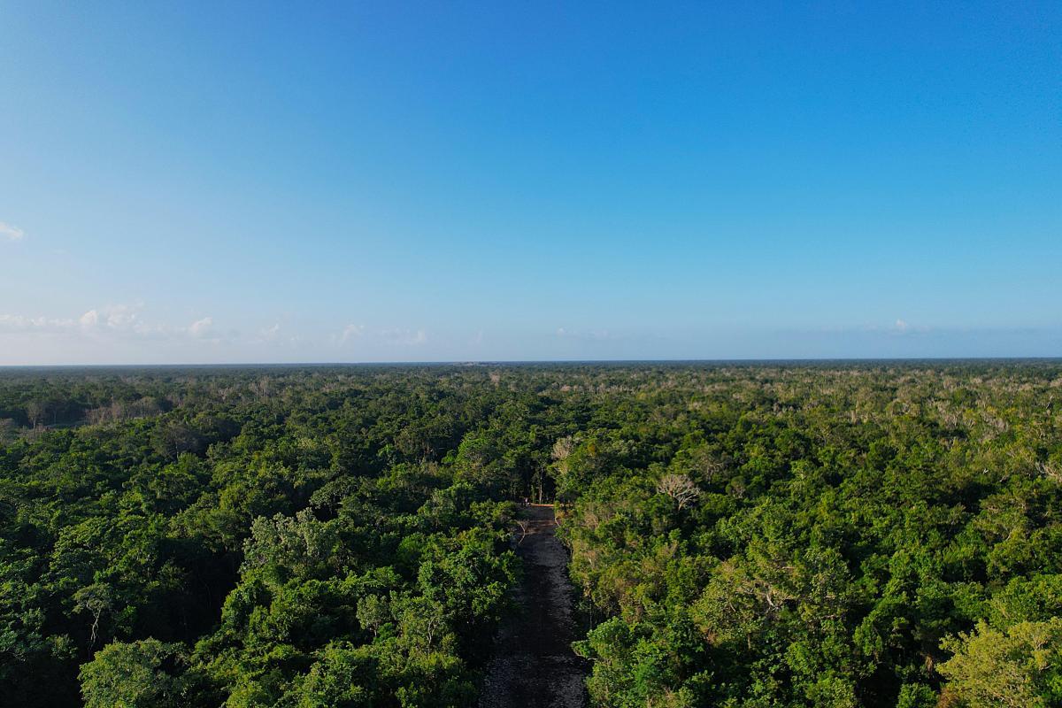 Terrenos en Umán, Yucatán