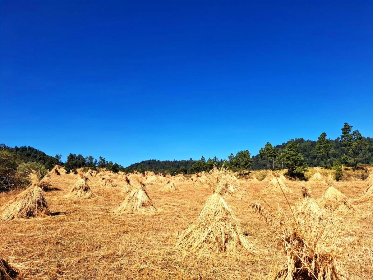 Se vende terreno campestre en Huitzilac