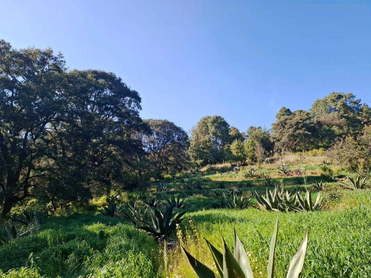 Se vende Terreno Campestre en Huitzilac