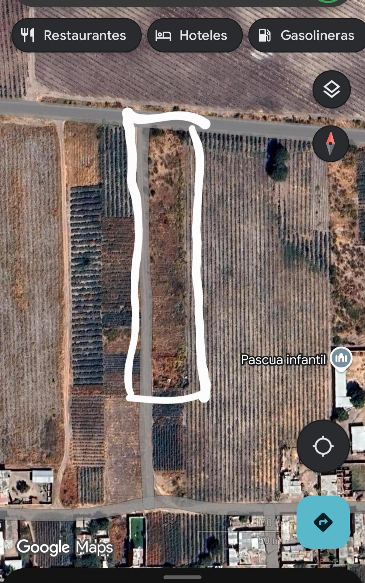 Se vende Terreno en Romita 150x20