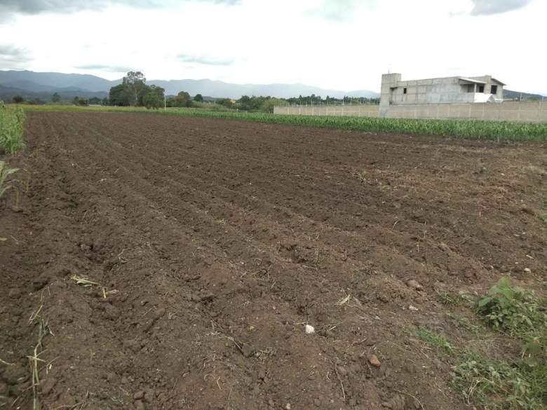 Oaxaca, Santa María Atzompa