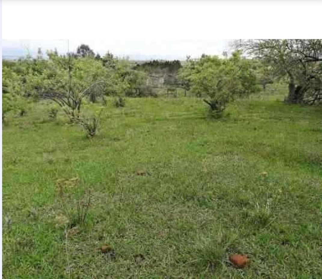 Se vende Terreno en Totolapan