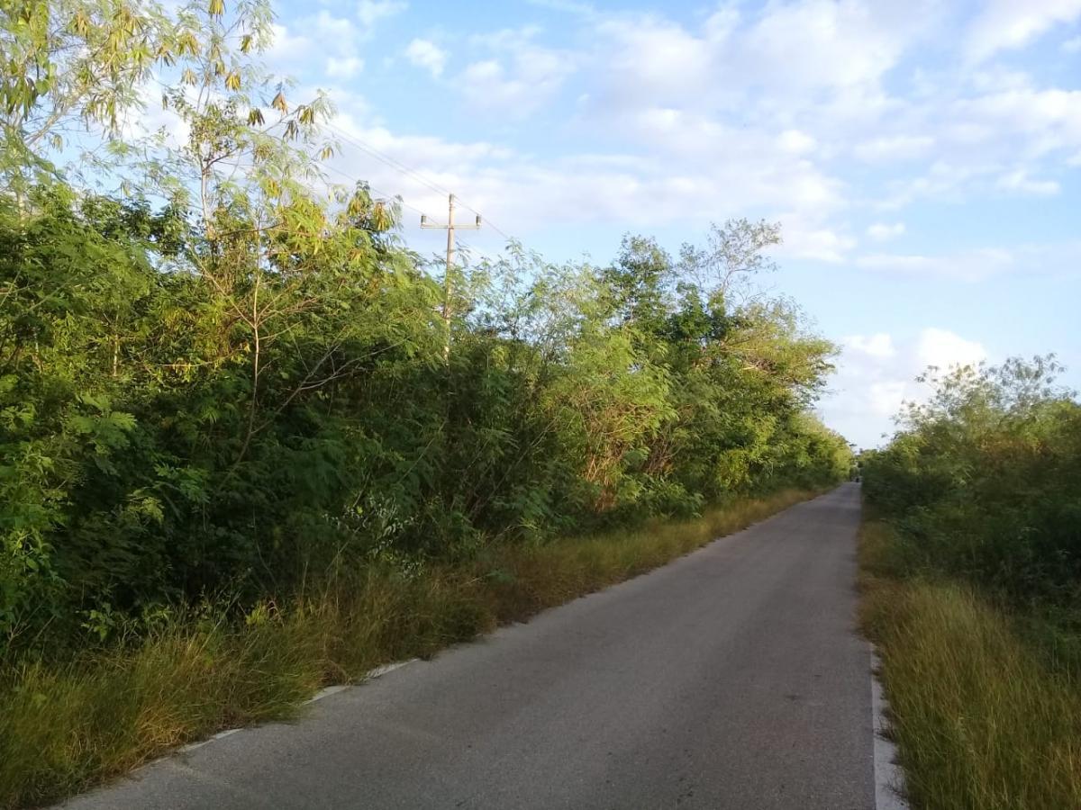 Terreno Sobre Carr. Tixpehuál-Cucá