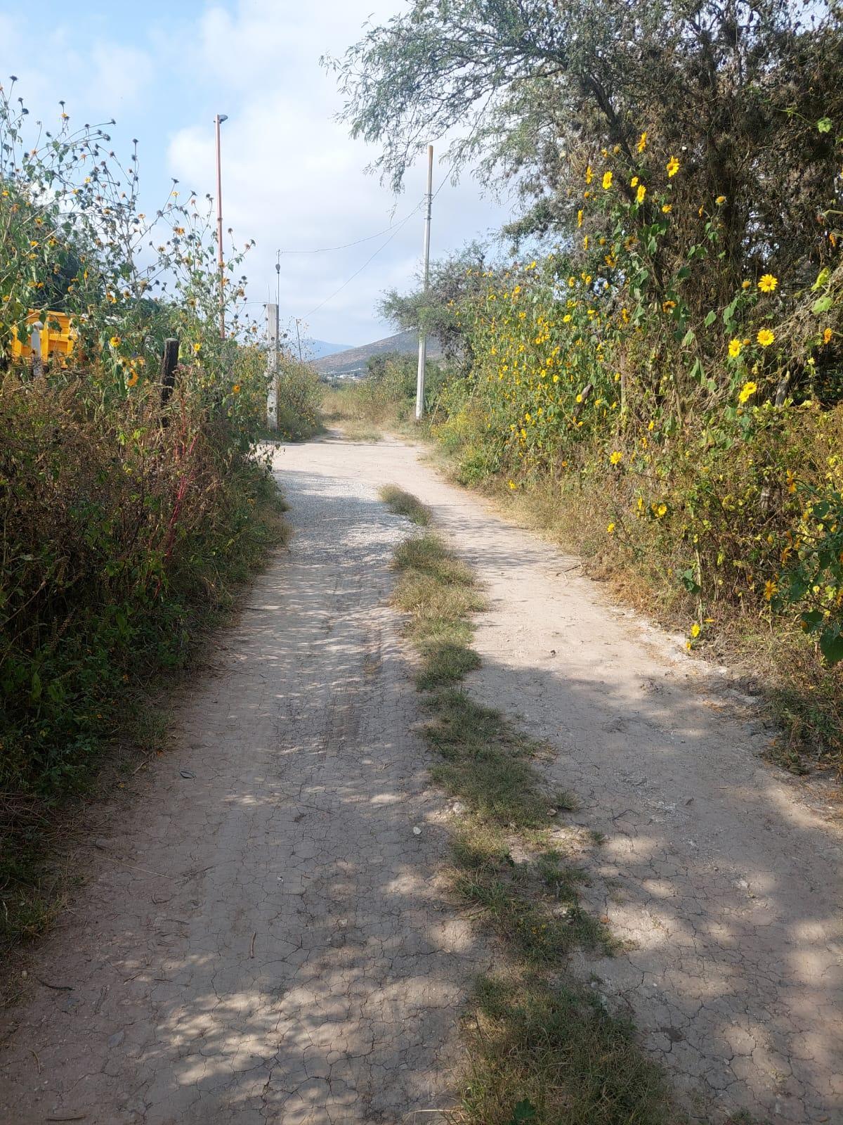 Se vende Terreno en Zimapán