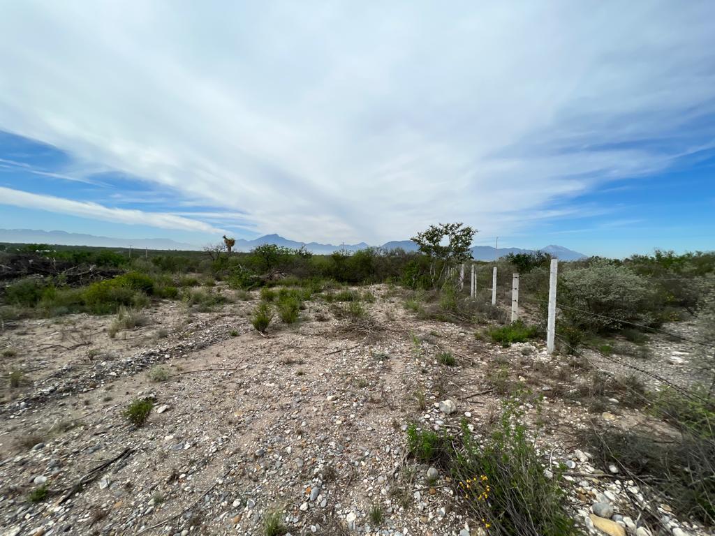 Terreno en venta, Ciénega de Flores  