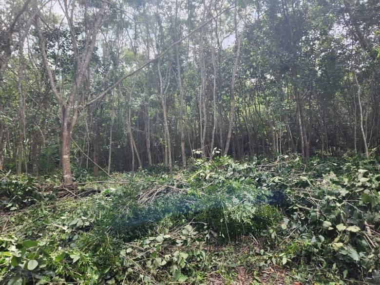 excelente lote 1200 m2 en 1,500,000 mx, bacalar , Q.Roo