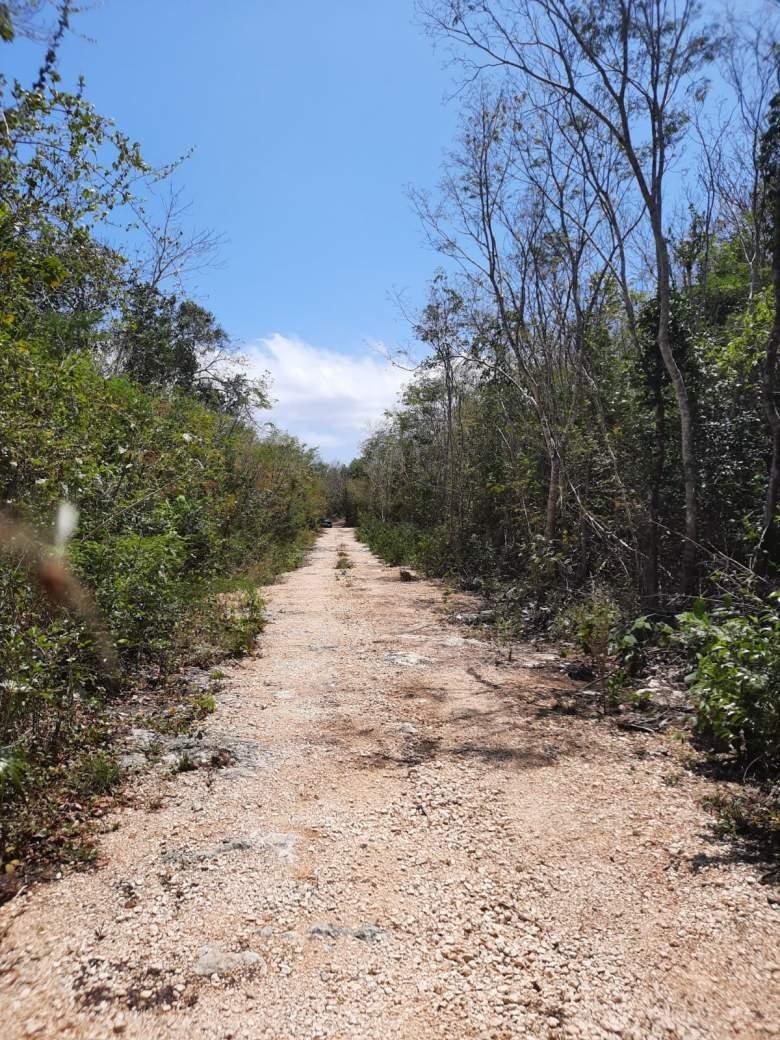 Terreno en venta en Tulum
