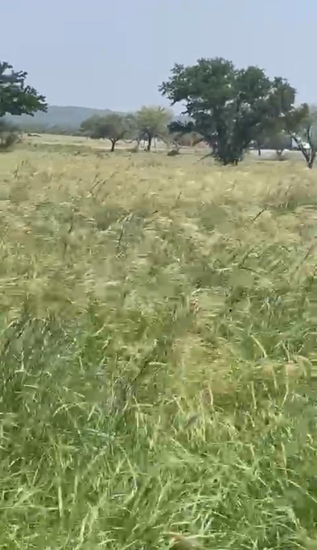 Se vende Rancho en Montemorelos N.L.