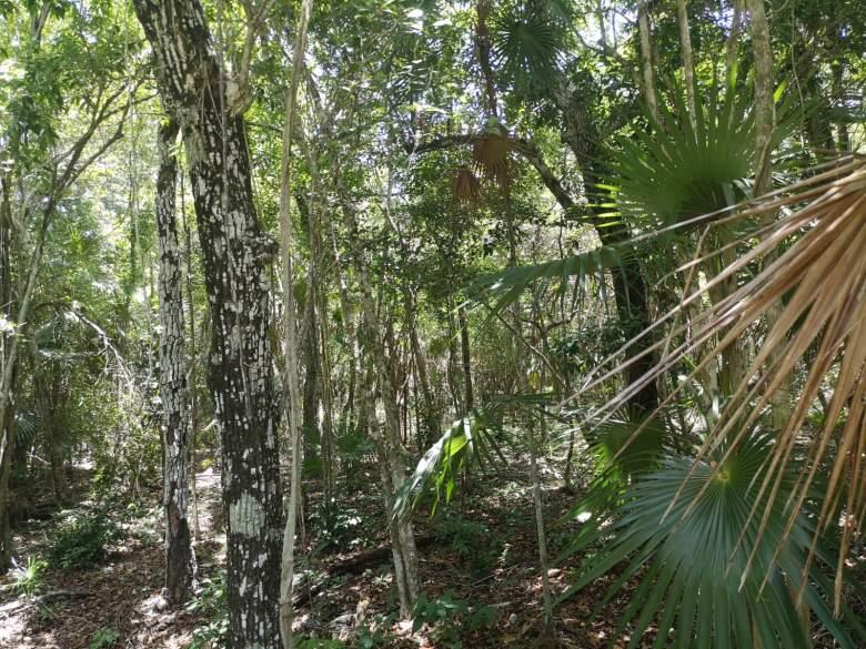 terreno chemuyil tulum quintana roo
