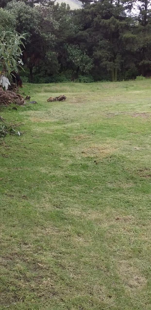 Vendo 500m2 con servicios cerca a 10 minutos de apizaco