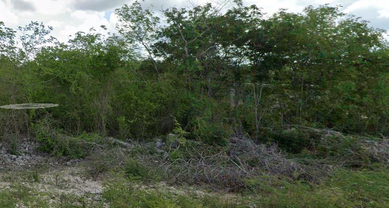 Yucatán, Progreso