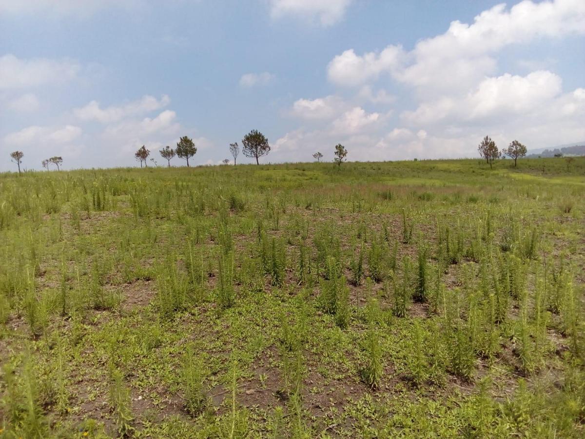 Se vende Terreno en zona ideal Almoloya de Juarez