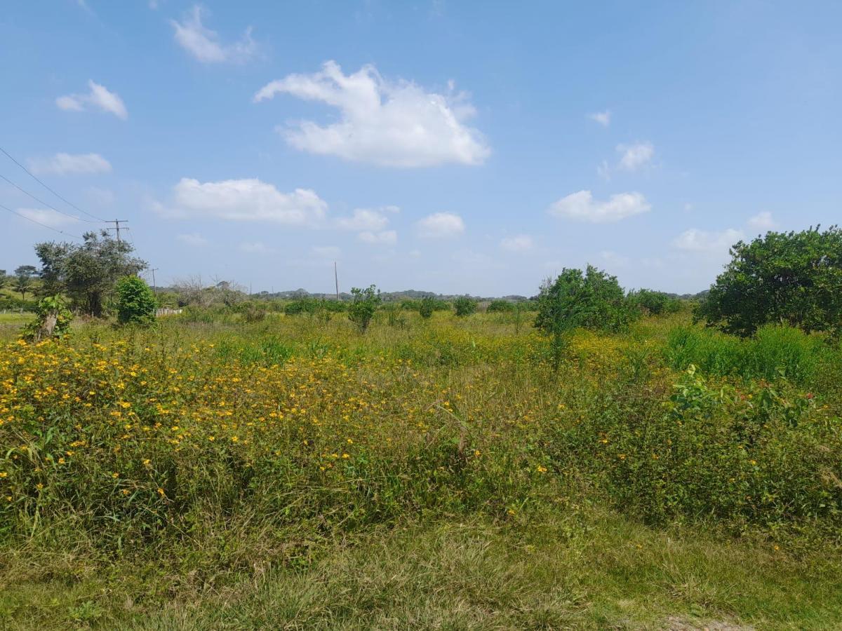 Se vende Lote en Tuxpan