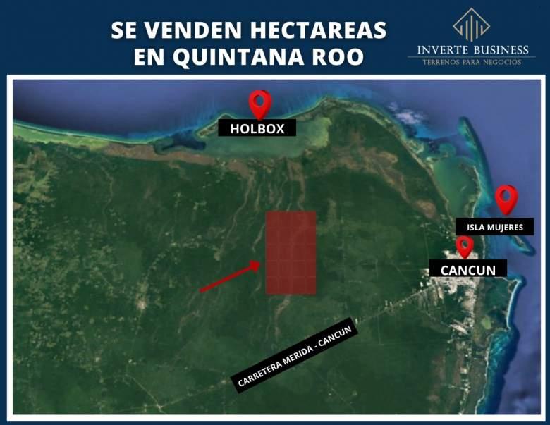 Quintana Roo, Lázaro Cárdenas