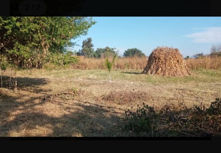 Jalisco, Villa Corona