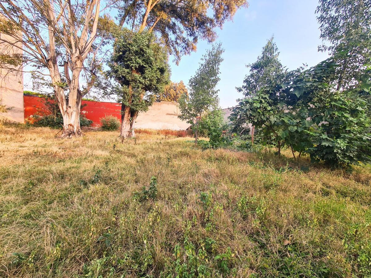 Se vende Terreno en Benito Juárez San Simon Ticumac  Luis Sp