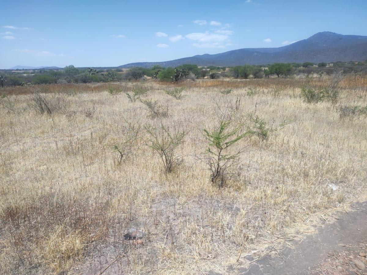 Se vende terreno Agrícola en El Marqués