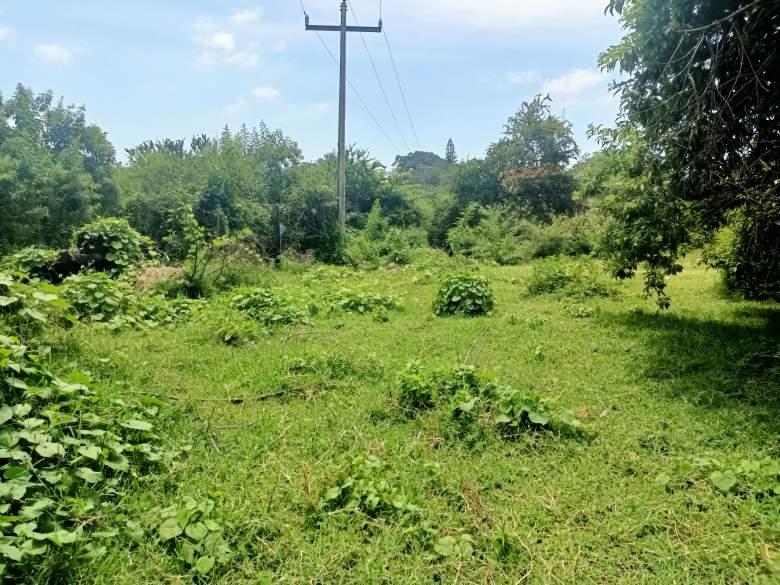 Terreno Listo Para Construir Tranquilo Privado