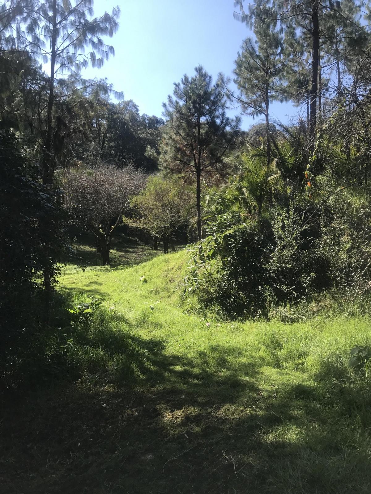 Se vende Rancho en Acaxochitlán