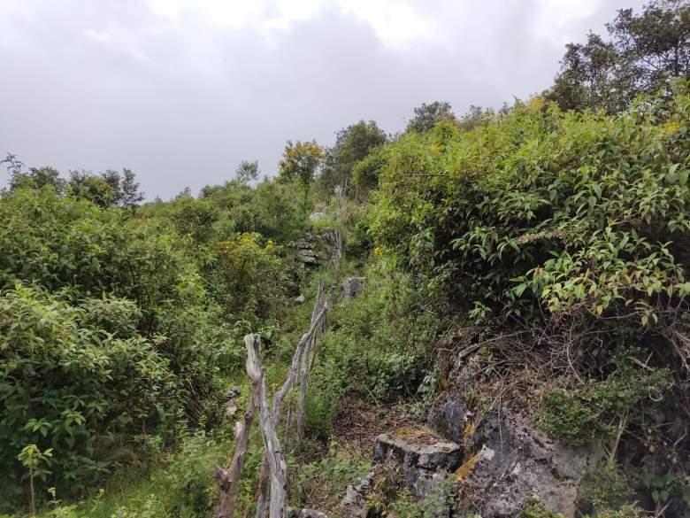 Venta de terreno de 9.7 hectáreas en San Cristóbal de las ca