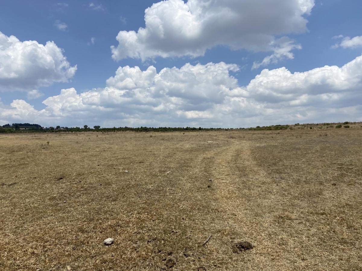 Se vende Terreno en Almoloya de Juárez El estanco